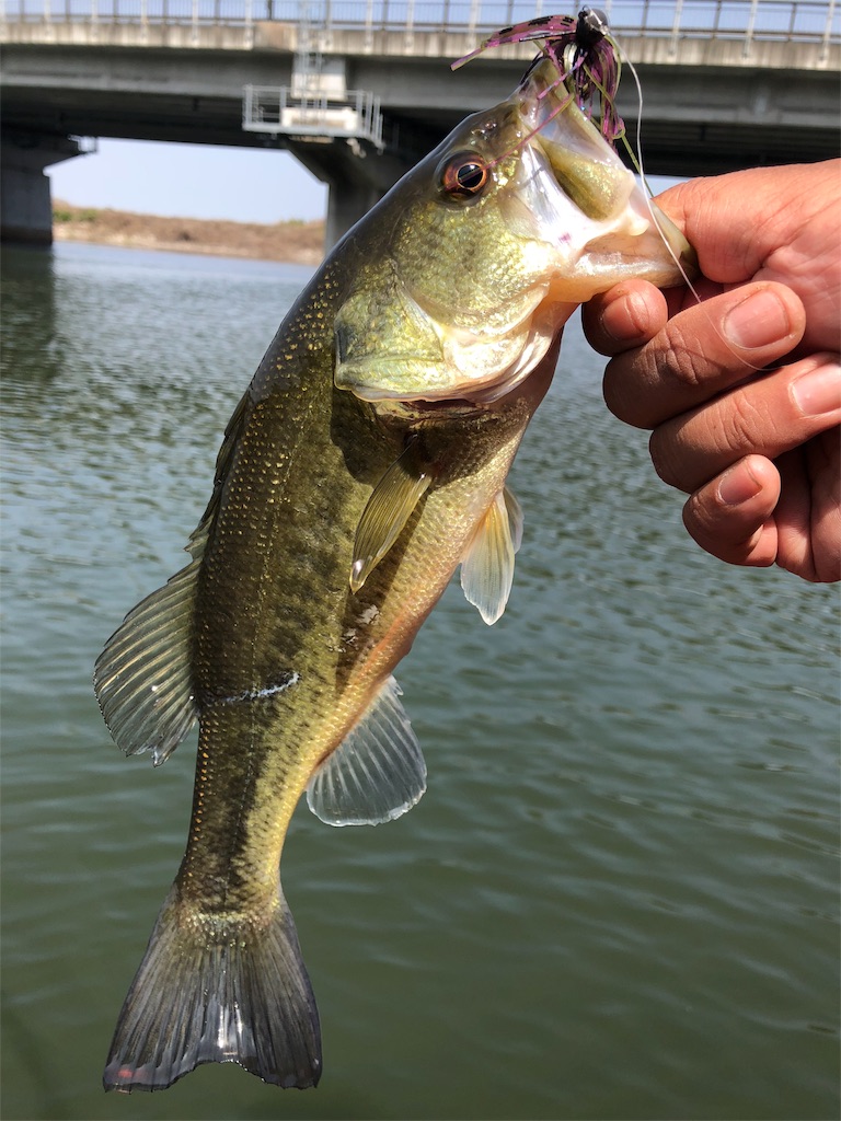 f:id:kingcrew:20180330125710j:image