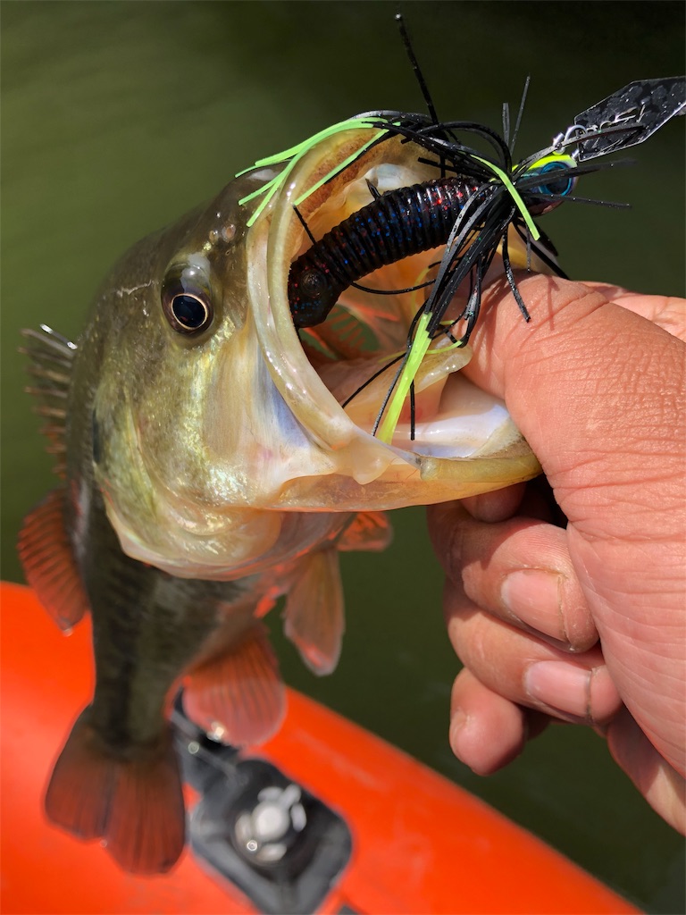 f:id:kingcrew:20180330125752j:image