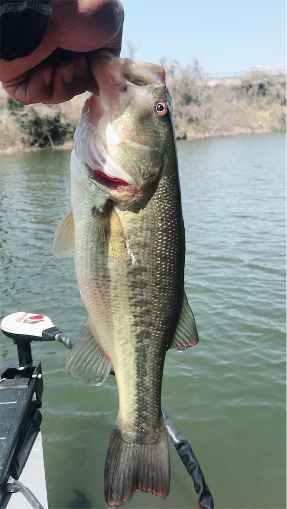 f:id:kingcrew:20180330130137j:image