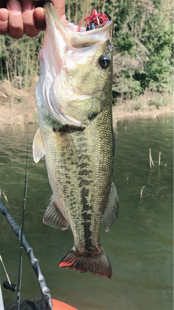 f:id:kingcrew:20180330161840j:image