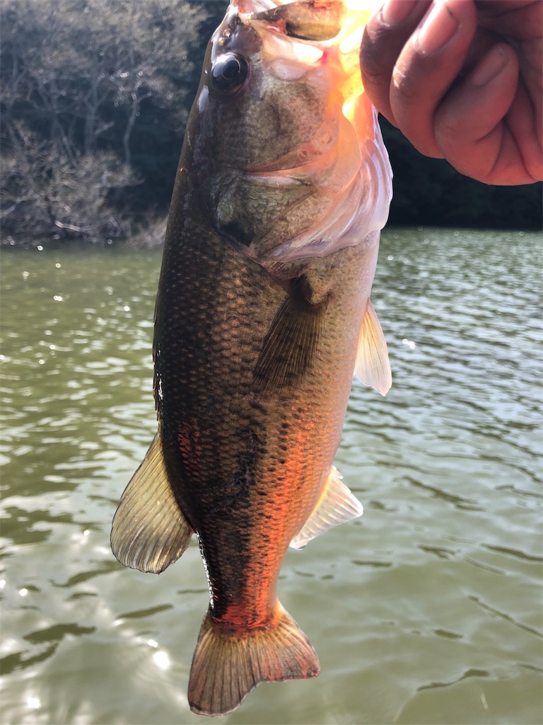 f:id:kingcrew:20180330161855j:image