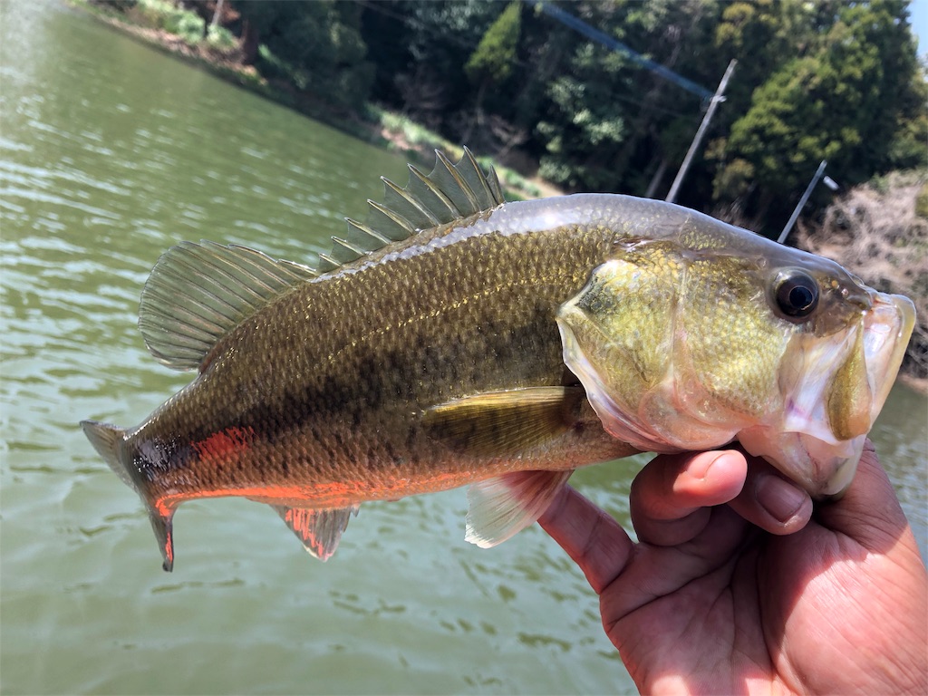 f:id:kingcrew:20180330161940j:image