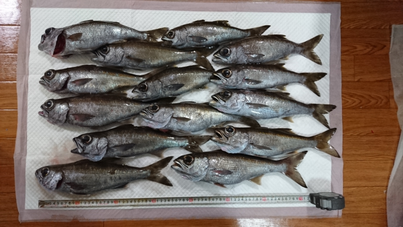 f:id:kingfisher_flab:20191203203003p:plain f:id:kingfisher_flab:20191203203003p:plain
