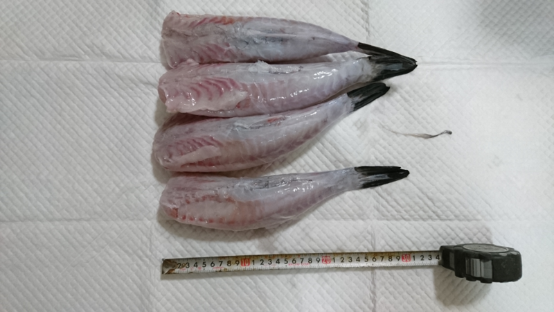 f:id:kingfisher_flab:20191212012136p:plain f:id:kingfisher_flab:20191212012136p:plain