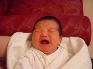 f:id:kingfrogs:20110610181214j:image