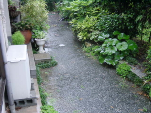 f:id:kingfrogs:20110612095121j:image