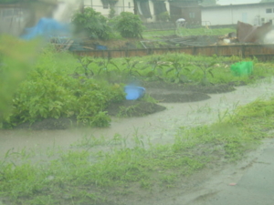 f:id:kingfrogs:20110612153419j:image
