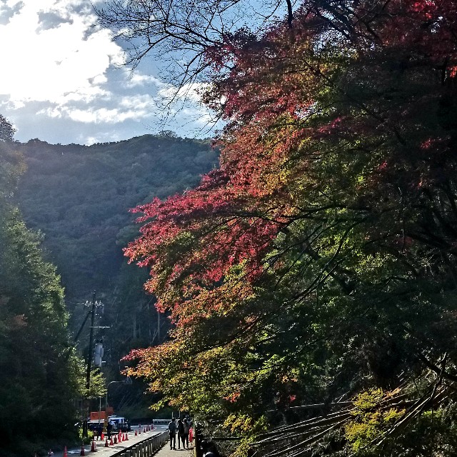 f:id:kinghiro390:20181104223006j:image f:id:kinghiro390:20181104223006j:image