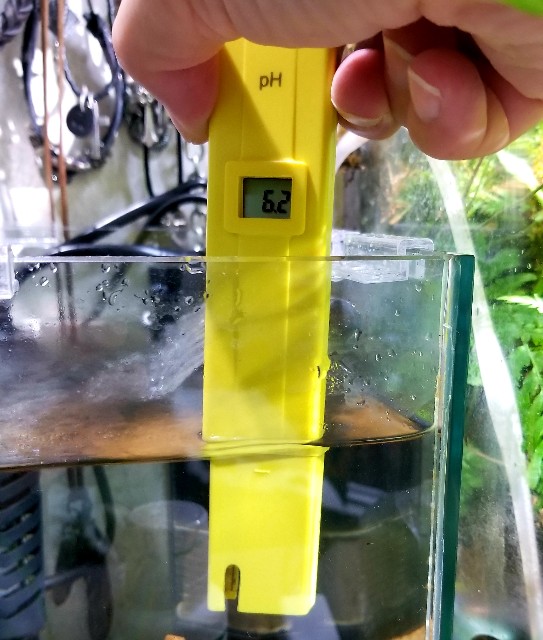 f:id:kinghiro390:20181109213713j:image