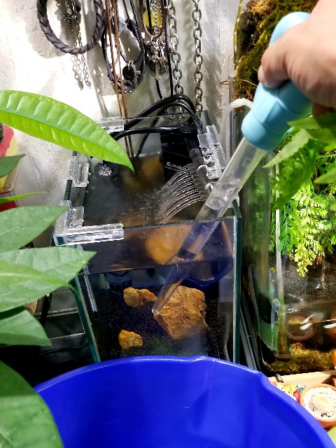 f:id:kinghiro390:20181109214117j:image