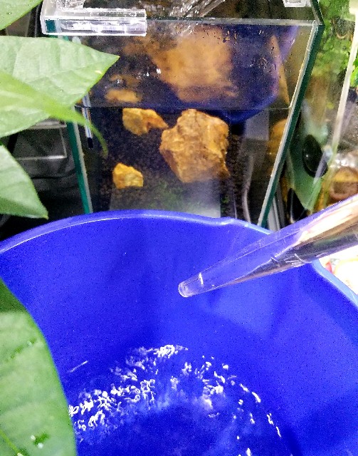 f:id:kinghiro390:20181109214136j:image