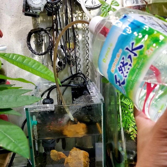 f:id:kinghiro390:20181109214213j:image