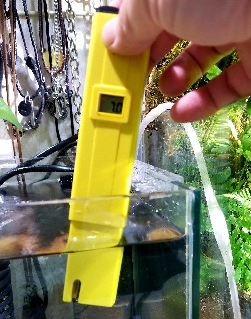 f:id:kinghiro390:20181109214301j:image