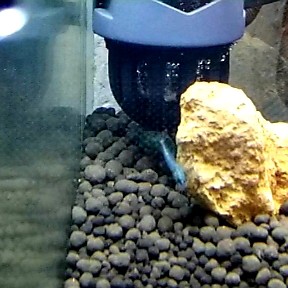 f:id:kinghiro390:20181114173826j:image
