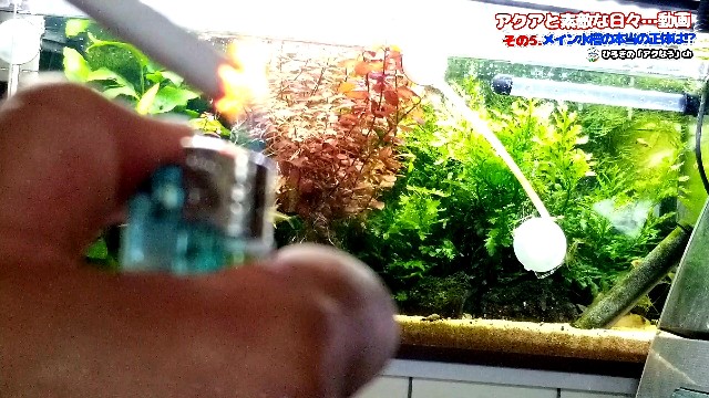 f:id:kinghiro390:20190213082747j:image