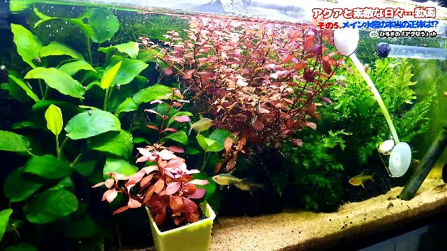 f:id:kinghiro390:20190213082856j:image