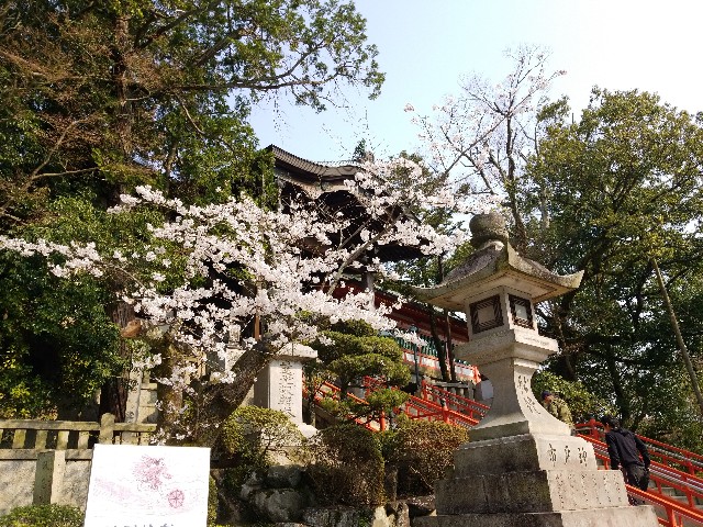 f:id:kinghiro390:20190408193902j:image