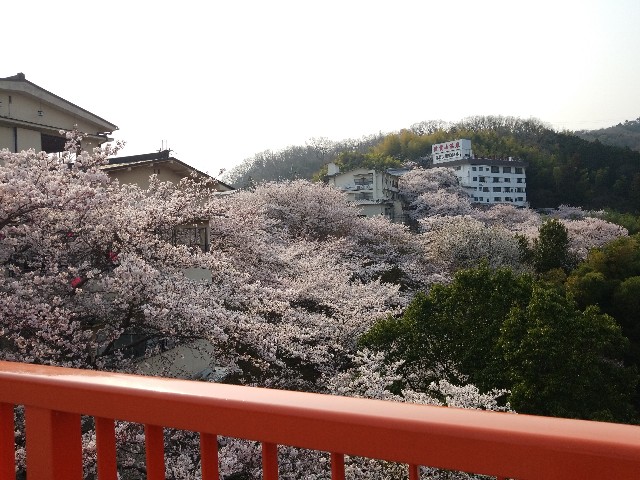 f:id:kinghiro390:20190408193924j:image