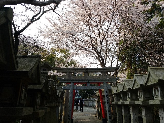 f:id:kinghiro390:20190408194050j:image