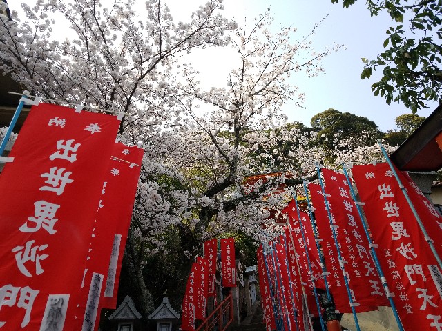 f:id:kinghiro390:20190408194131j:image