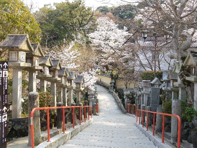 f:id:kinghiro390:20190408194158j:image