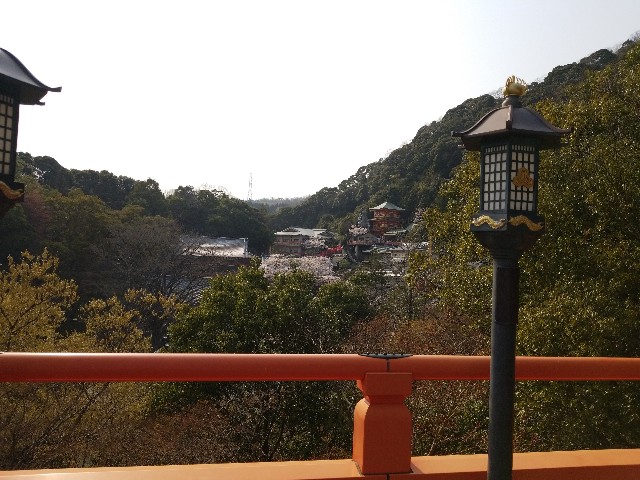 f:id:kinghiro390:20190408194600j:image