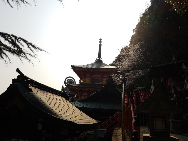 f:id:kinghiro390:20190408194619j:image