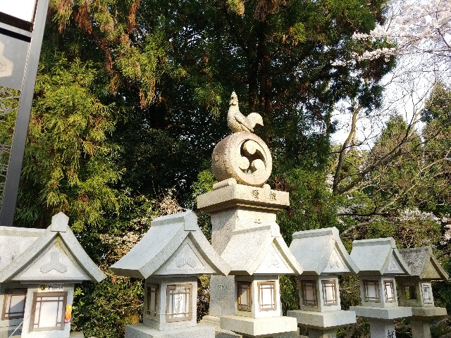 f:id:kinghiro390:20190408194752j:image