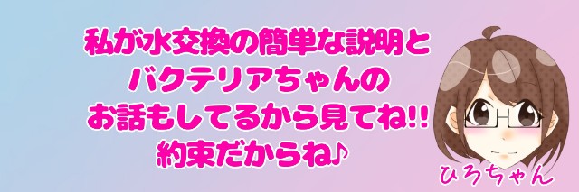 f:id:kinghiro390:20190426233237j:image