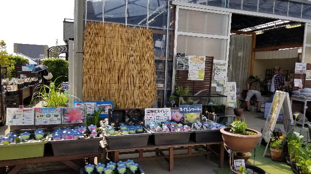 f:id:kinghiro390:20190505234606j:image