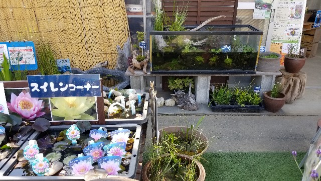 f:id:kinghiro390:20190505235133j:image