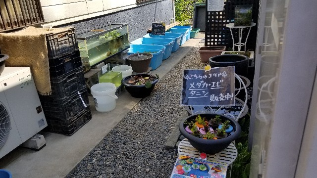 f:id:kinghiro390:20190506002821j:image