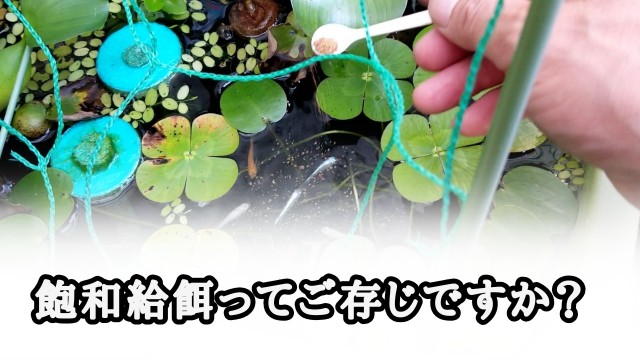 f:id:kinghiro390:20190726233259j:image