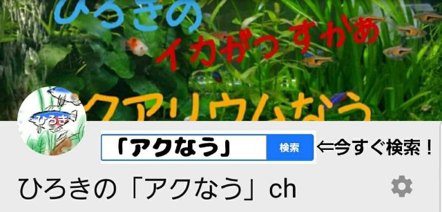 f:id:kinghiro390:20190728004218j:image