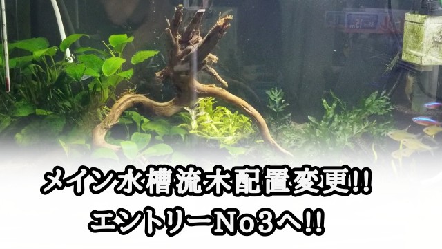 f:id:kinghiro390:20190801184956j:image f:id:kinghiro390:20190801184956j:image