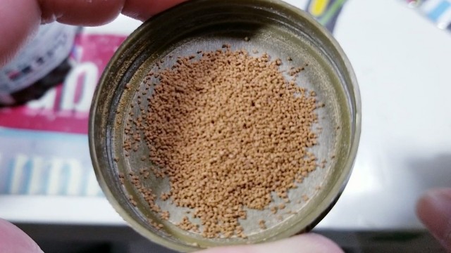 f:id:kinghiro390:20190811190501j:image