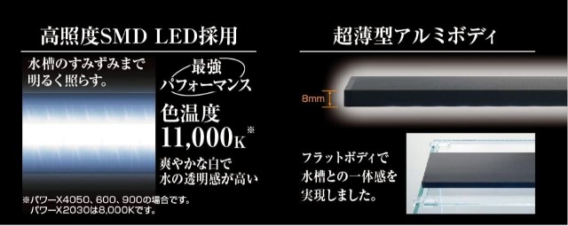 f:id:kinghiro390:20230212141945j:image