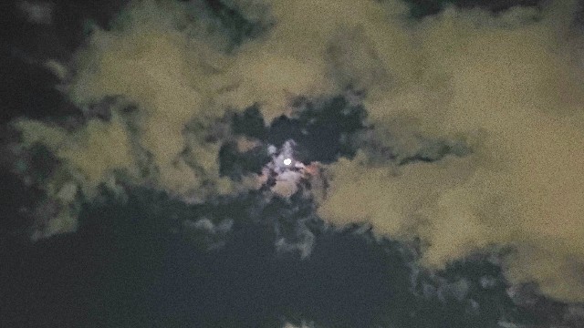 f:id:kinghiro390:20230226194854j:image