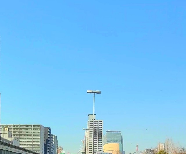 f:id:kinghiro390:20230301151121j:image