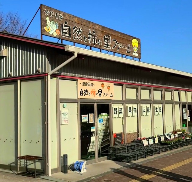 f:id:kinghiro390:20230319225453j:image f:id:kinghiro390:20230319225453j:image