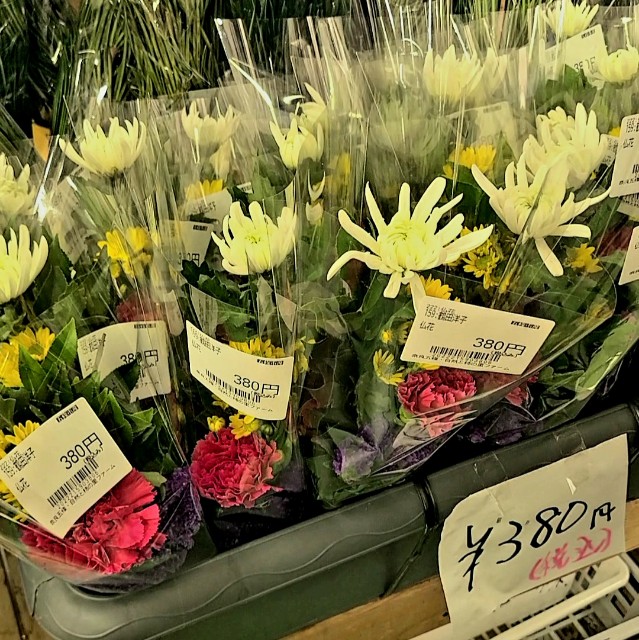 f:id:kinghiro390:20230319230356j:image f:id:kinghiro390:20230319230356j:image