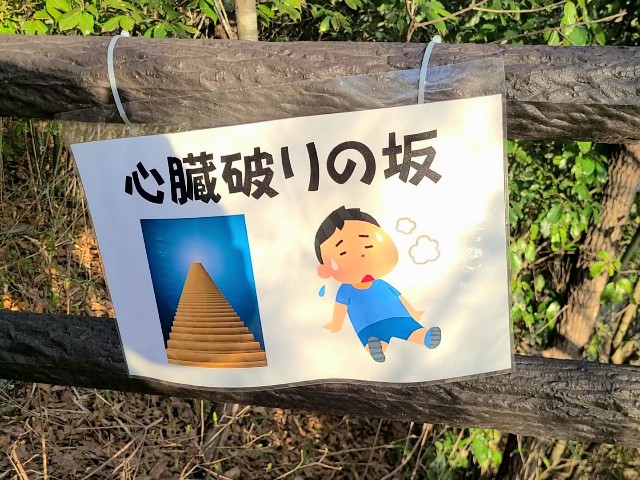 f:id:kinghiro390:20230319233129j:image f:id:kinghiro390:20230319233129j:image