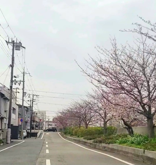 f:id:kinghiro390:20230325154101j:image f:id:kinghiro390:20230325154101j:image