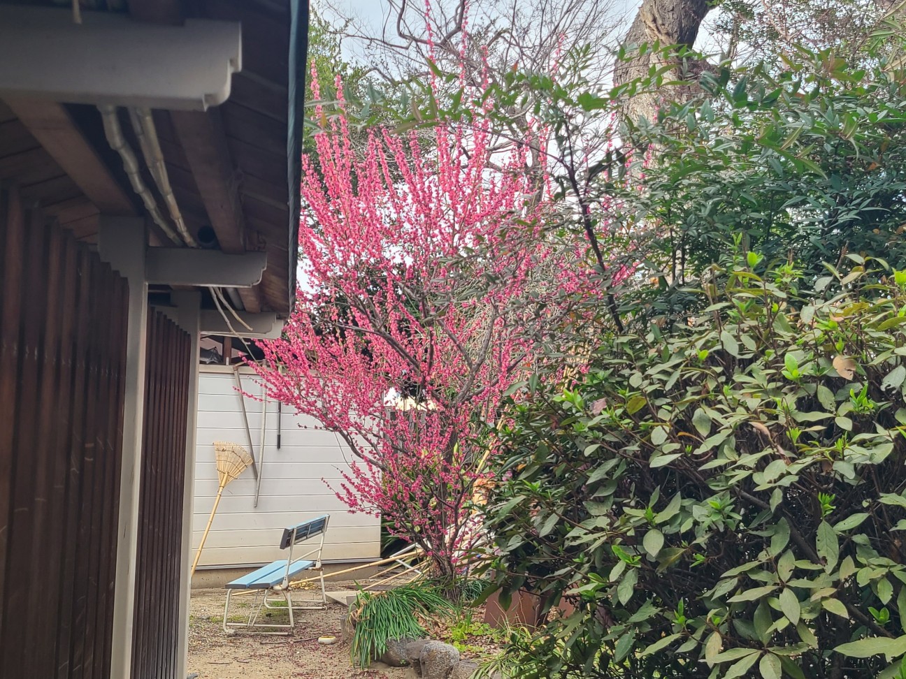 f:id:kinghiro390:20260222160625j:image