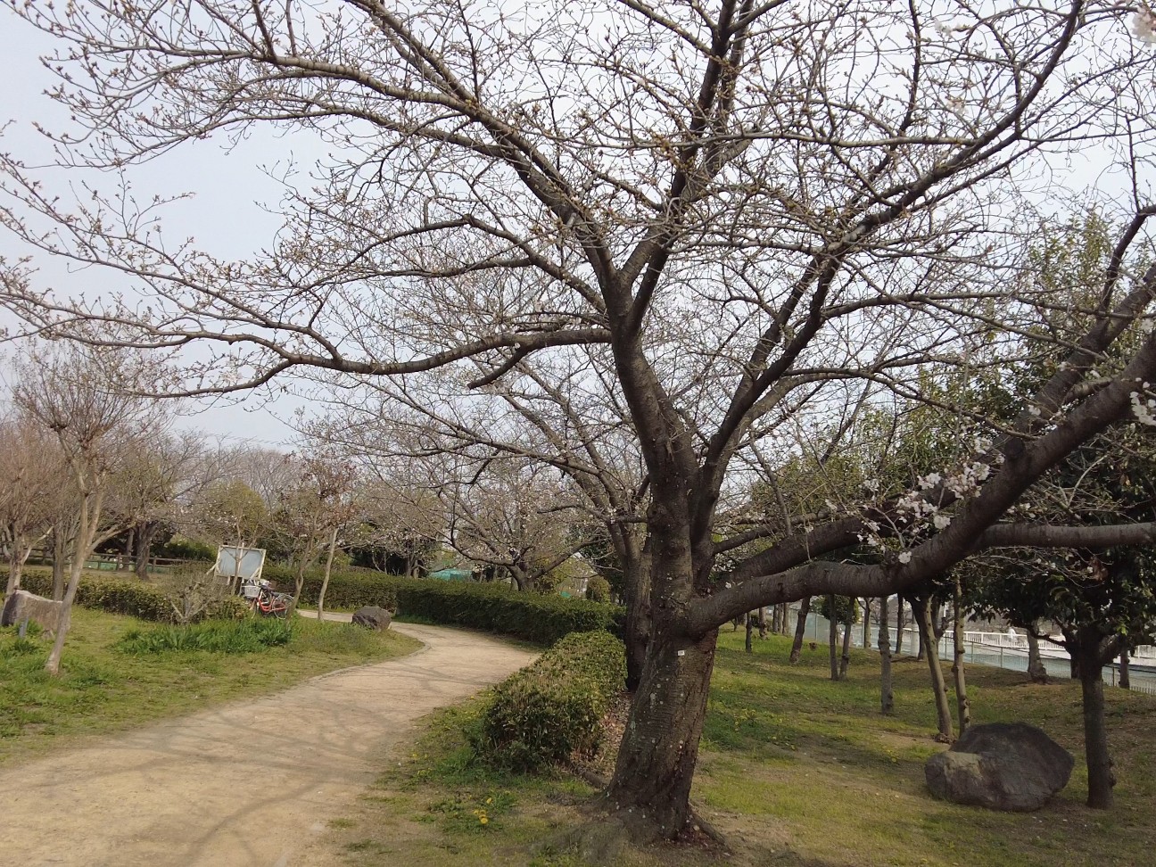 f:id:kinghiro390:20260329170704j:image