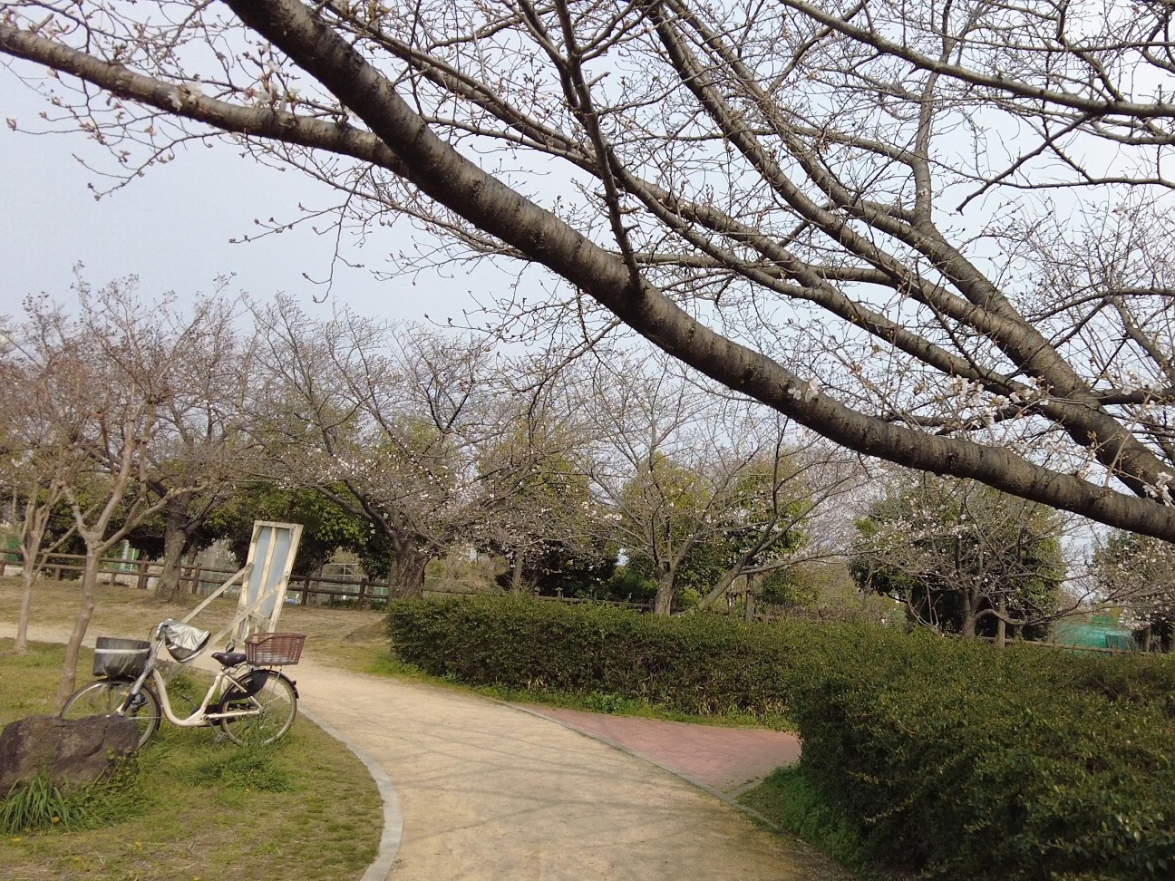 f:id:kinghiro390:20260329171010j:image