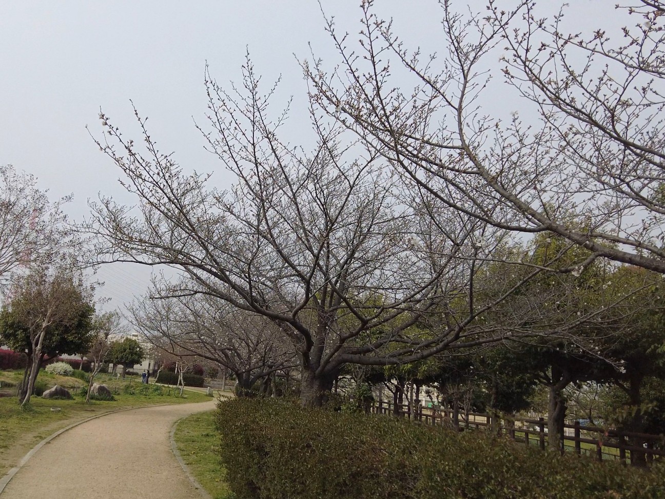 f:id:kinghiro390:20260329171011j:image