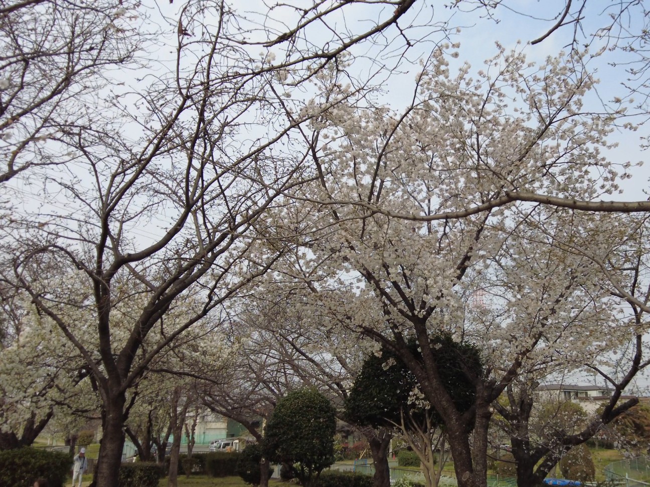 f:id:kinghiro390:20260329173025j:image