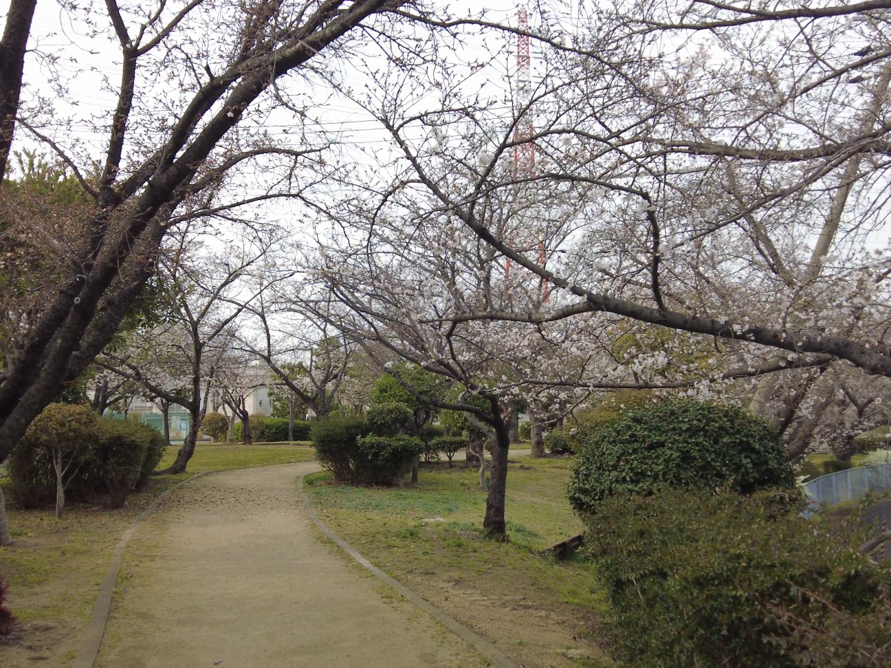 f:id:kinghiro390:20260329173029j:image