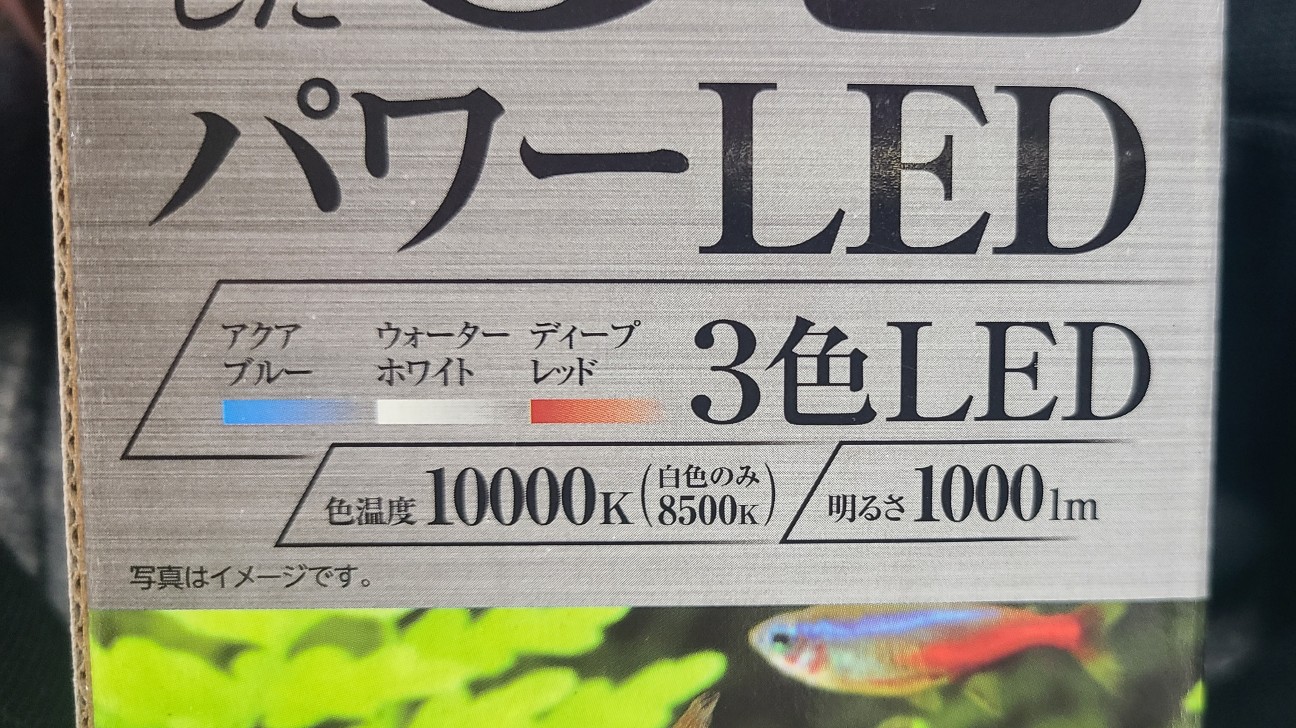 水草に赤と青のライトは本当に必要？光の正体を少し深く知ってみる 